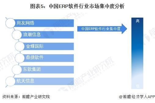 2025 2030年中國erp軟件龍頭企業(yè)軟件業(yè)務(wù)布局分析